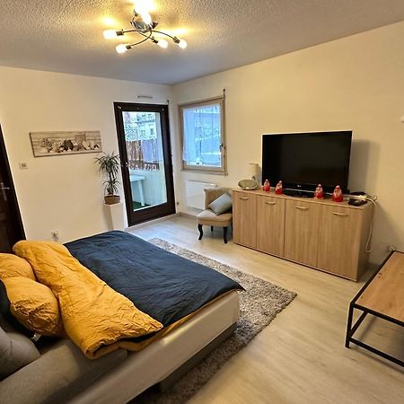 Superbe F2 Terrasse, Route Du Vin, Florival Apartman Guebwiller Kültér fotó
